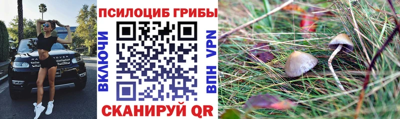 купить закладку  блэк спрут ТОР  Галлюциногенные грибы Magic Shrooms  Пыталово 