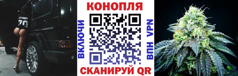 OMG маркетплейс  Пыталово  shop телеграм  Канабис ГИДРОПОН 